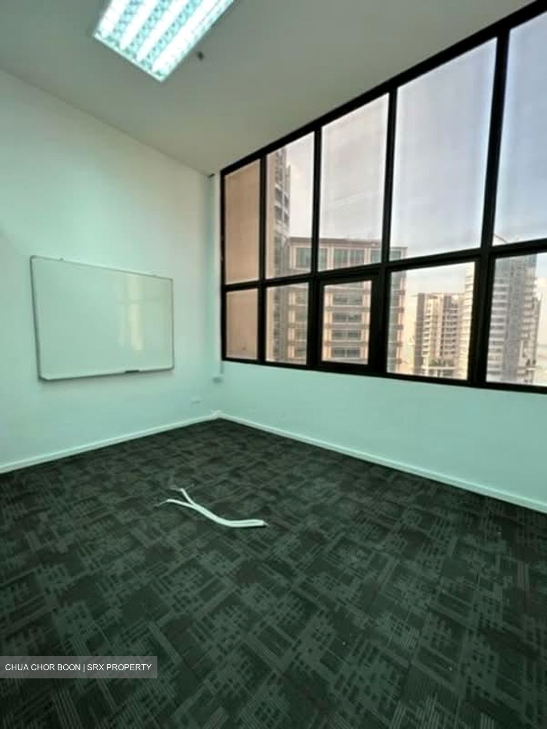International Plaza (D2), Office #559693831
